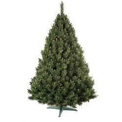 Nohel 91412 Vianočný stromček Borovica, 160 cm, 160 cm