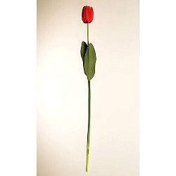 Umelá kvetina Tulipán červená, 60 cm, 