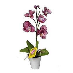 Umelá Orchidea v kvetináči fialová, 35 cm