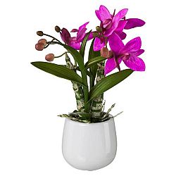 Umelá Rastlina Japonská Orchidea
